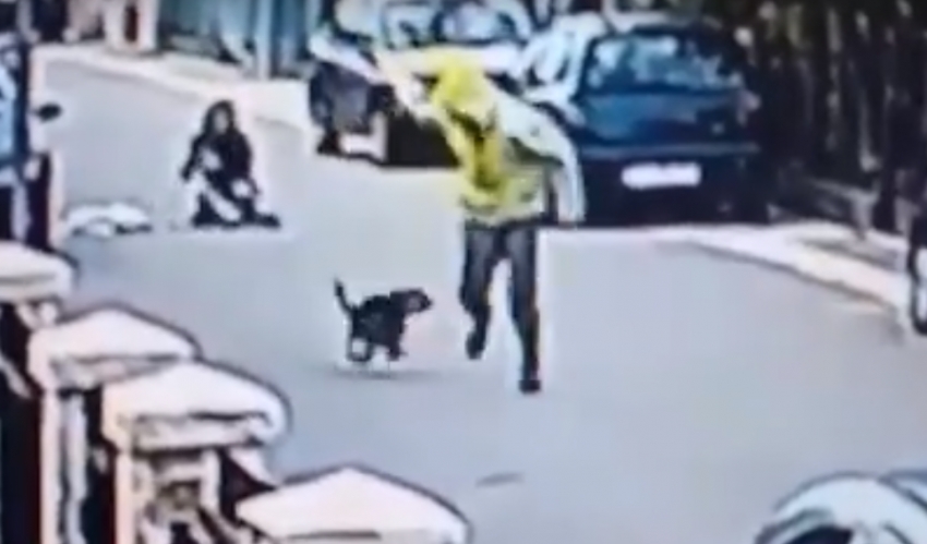 VIDEO: Pas heroj spasio ženu od razbojnika na Starom Aerodromu!