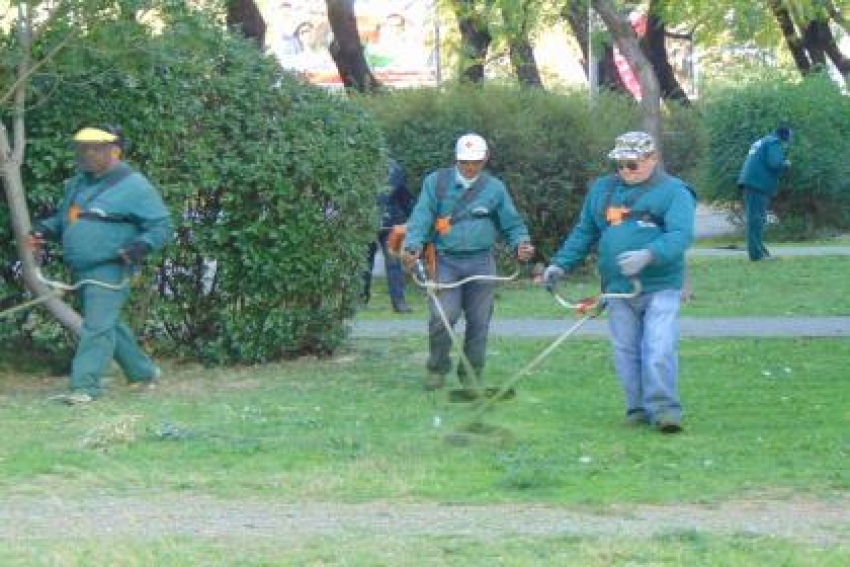 Zbog nevremena pune ruke posla za Zelenilo