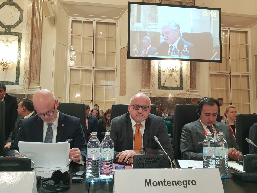 Darmanović: Nema trajne stabilnosti bez poštovanja ljudskih prava