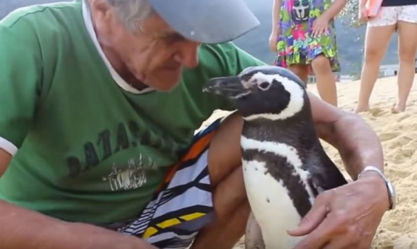 VIDEO – Nevjerovatno prijateljstvo: Ovog Brazilca prijatelj posjećuje svakog juna