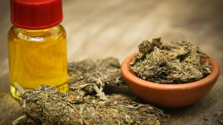 Svjetska zdravstvena organizacija: Marihuana nije opasna po zdravlje