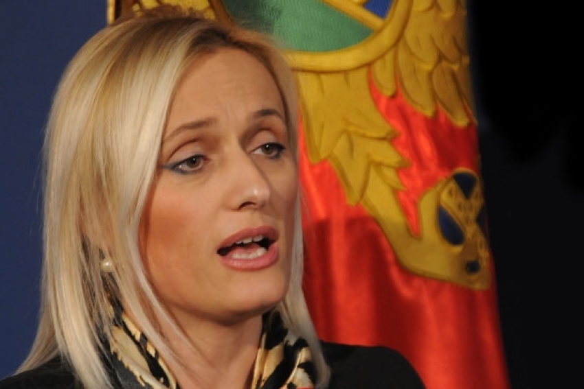 Jasavić: Alkovića nijesam uspjela da zaštitim u Crnoj Gori, ali jesam u Strazburu