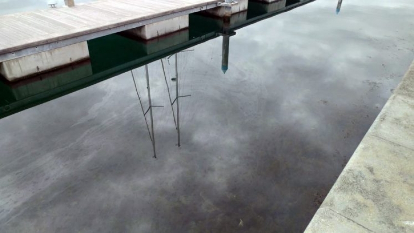 Tivat: Mrlje od nafte u moru