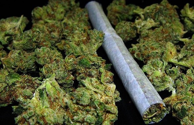 Cetinje: Pronađena marihuana, protiv osumnjičenog prekršajna prijava
