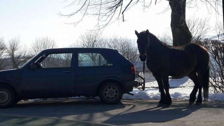 Nesvakidašnja situacija u BiH: Umjesto za drvo, konja vezao za Golf