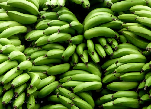 U Albaniji zaplijenjeno 613 kg kokaina u kontejneru banana