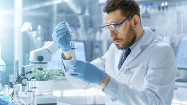 Dobra vijest o vještačkoj oplodnji: Naučnici razvili zrela ljudska jajašca u laboratoriji