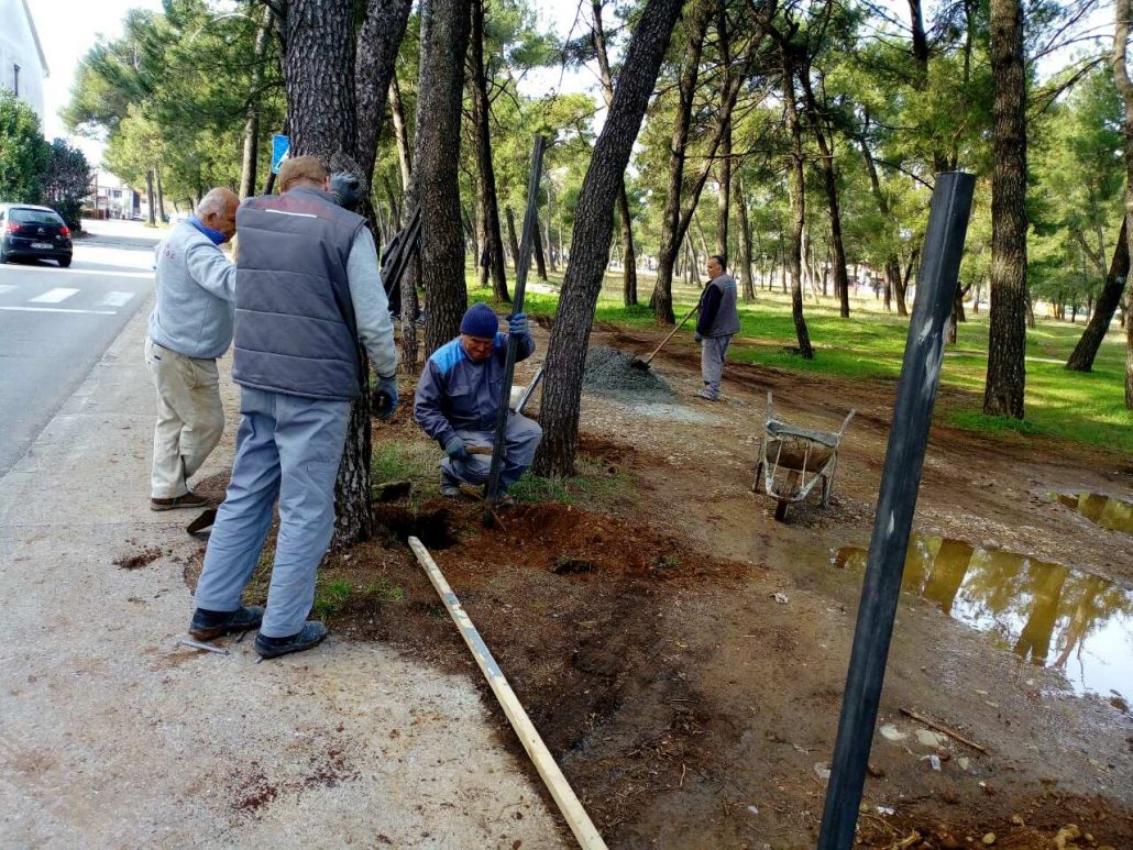 Počelo postavljanje ograde u Tološkoj šumi
