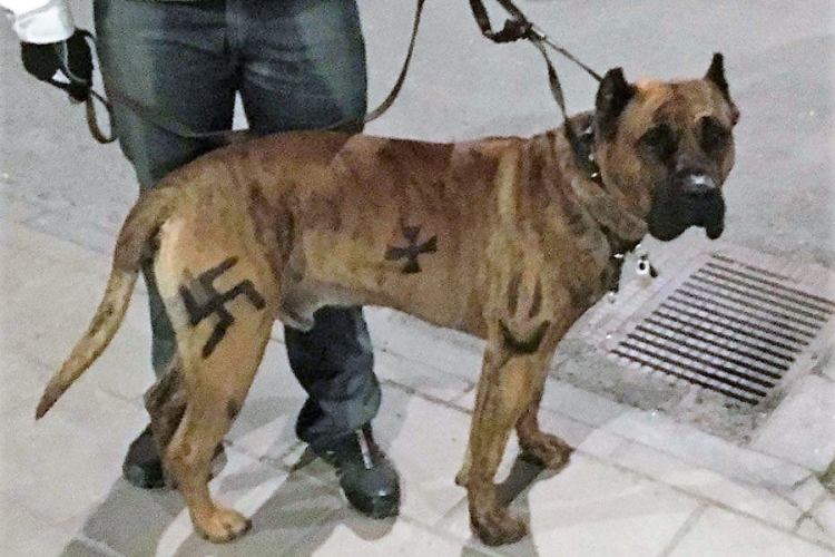 Nacrato kukasti krst na svom psu, pa platio parenu kaznu