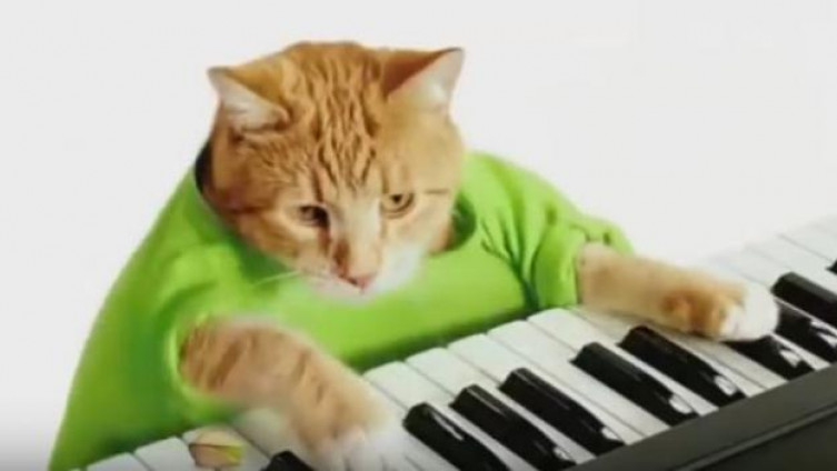 Uginuo Bento, legendarni mačak interneta