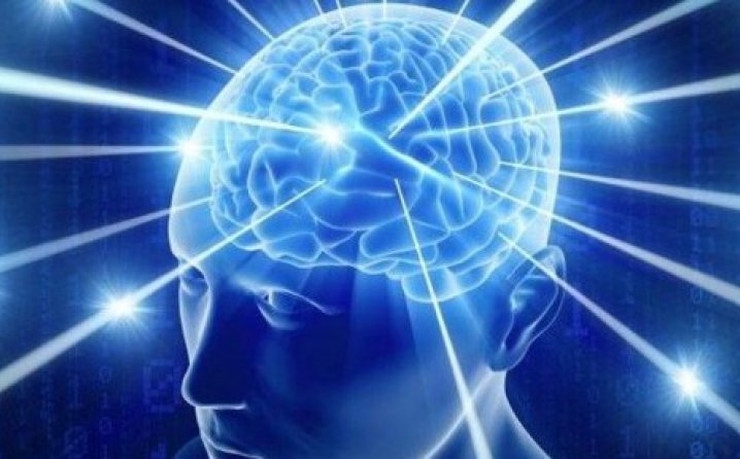 Evo kada mozak prestaje da proizvodi neurone za pamćenje