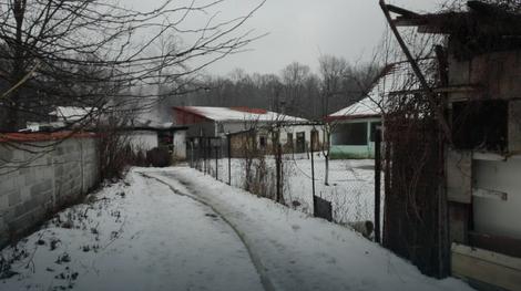 Požar u Beogradu: Poginula jedna osoba, najmanje troje povrijeđenih