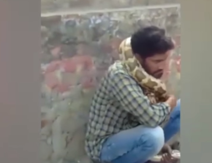 VIDEO: Piton ga umalo zadavio, a publika mislila da je to dio tačke