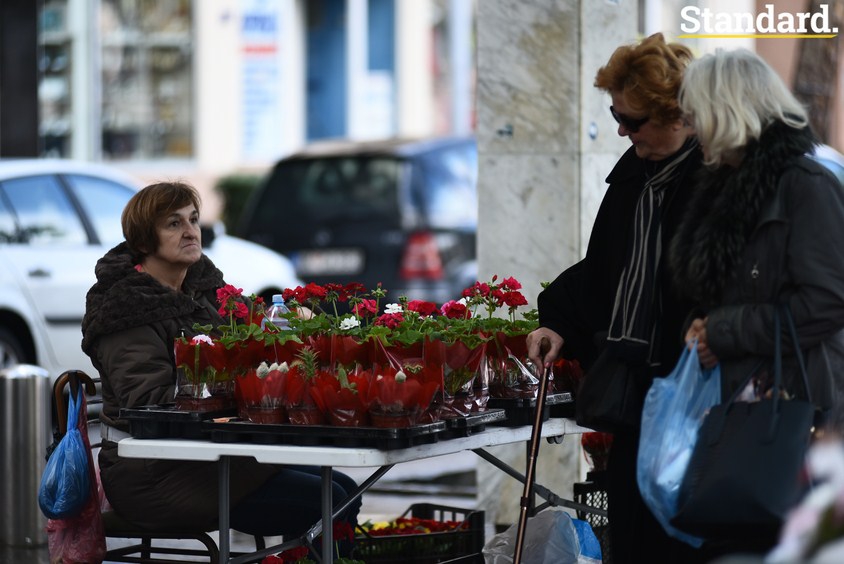 FOTO – Šta ima veze što je jednoj baki 14. februara Osmi mart?! Znate li vi pozadinu priče?