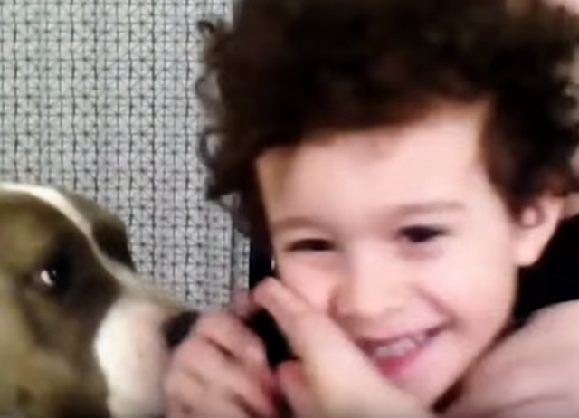 VIDEO: Ovaj dječak ima najneobičniju dadilju – psa!