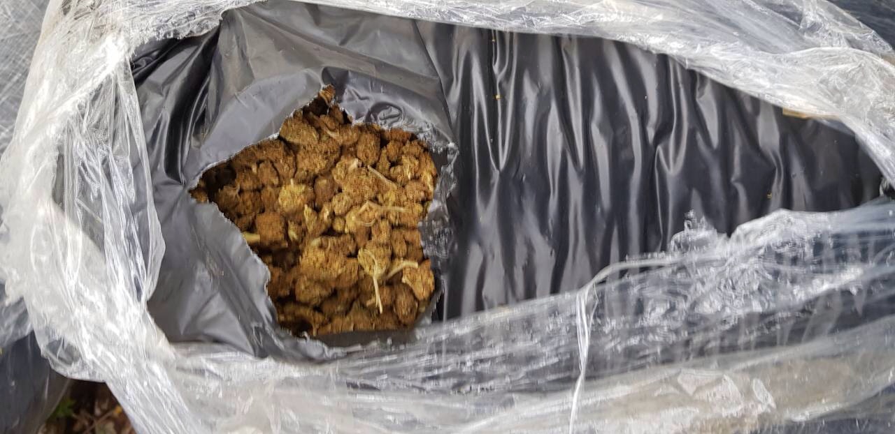 FOTO – Policija pronašla četiri džaka droge u žbunju