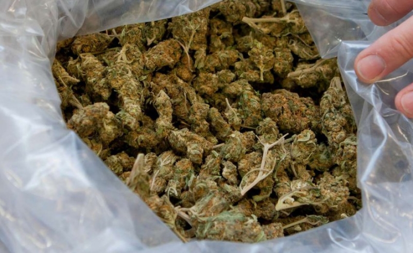 Podgorička policija zaplijenila 42 kg skanka