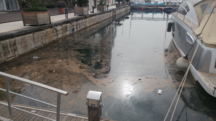 Smrad u luksuznoj marini: U mandrać Porto Montenegra se izlio otpad