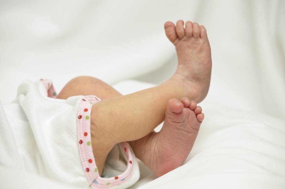 Njemačka: Pas usmrtio sedmomjesečnu bebu