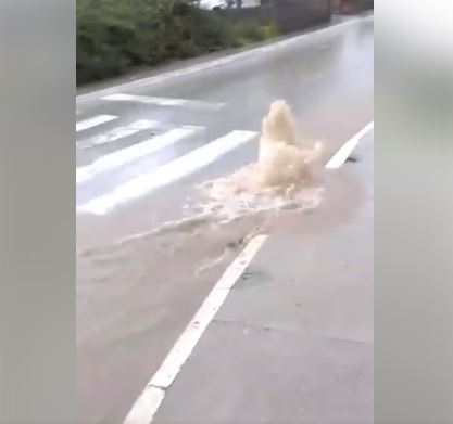 Pukla cijev u Podgorici, voda teče po putu