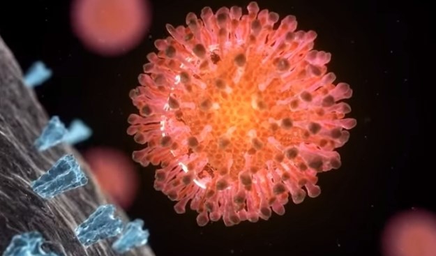 Smrtonosni virus se širi Indijom, vakcine nema