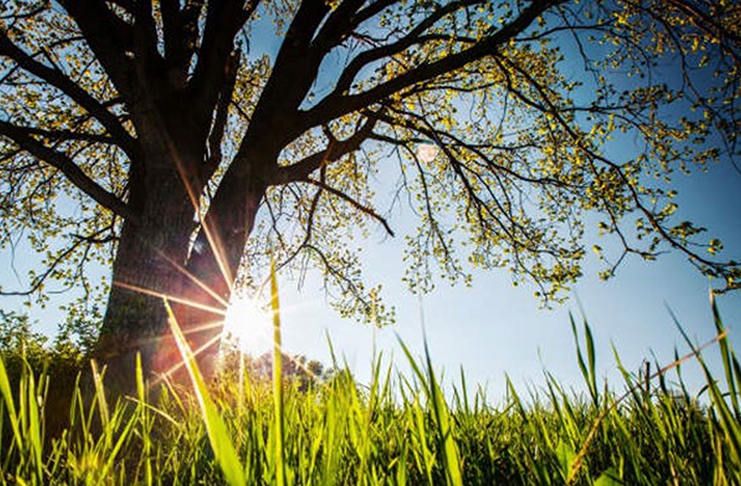 Danas pretežno sunčano, temperatura do 30 stepeni