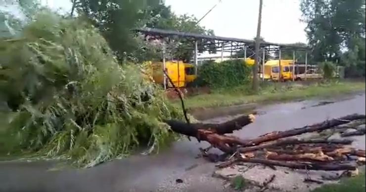Sišao da preparkira auto, pa se udavio u garaži: Muškarac iz Požarevca poginuo u nevremenu