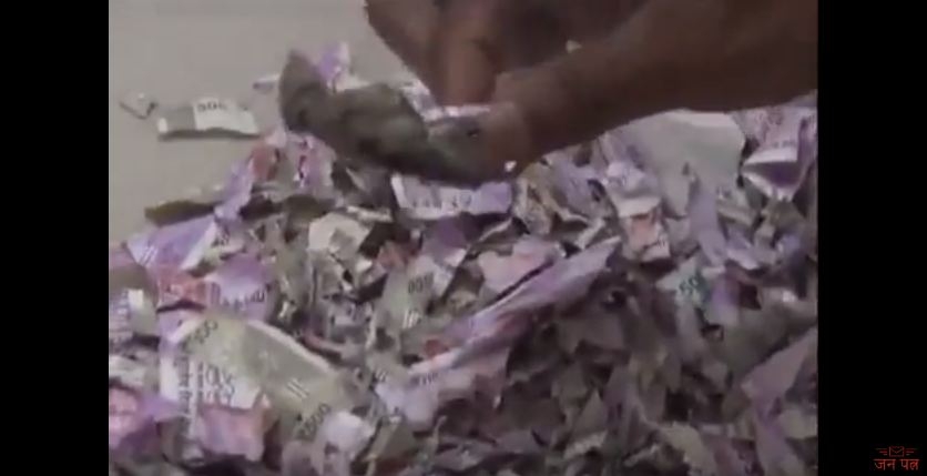 VIDEO – Pacovi u bankomatu POJELI 18 hiljada dolara!