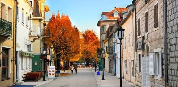 Osumnjičen da je pokrao radnicu cetinjske Opštine