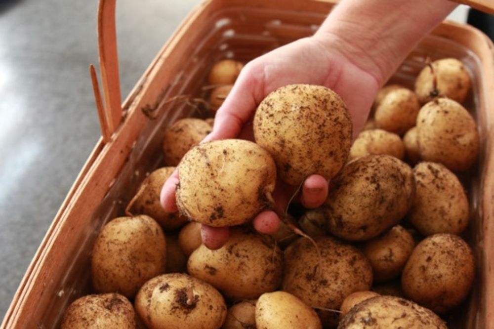 Je li i vama miliji HOLANDSKI krompir od KOLAŠINSKOG, a SRPSKA od CRNOGORSKE vode?