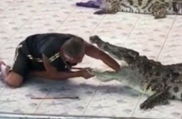 UZNEMIRUJUĆI VIDEO – Pravio šou, pa završio u čeljustima krokodila