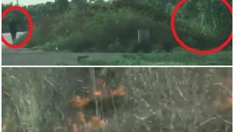 Uhapšen piroman koji je snimljen kako podmeće požare na jugu Grčke