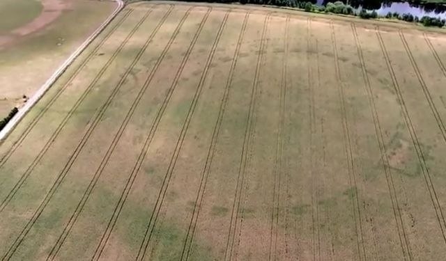 Visoke temperature otkrile ostatke novog Stounhendža