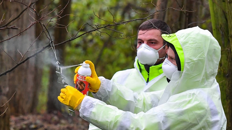Kuga stigla pred vrata Srbije: Preko granice ne može ni sendvič da se unese