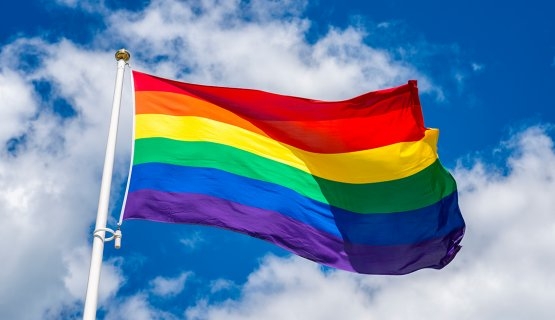 U Sankt Peterburgu privedeno 30 LGBT aktivista