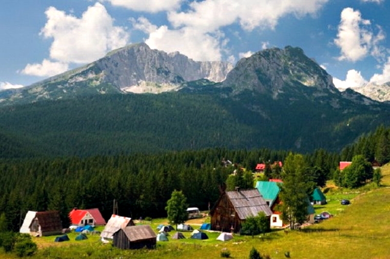 Kosidba na Durmitoru kasni, a kiša je uticala i na prikupljanje skorupa