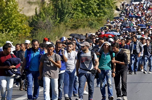 Radić: Migrantska kriza i dalje gorući problem u Evropi, uloga vojske je u ovoj situaciji neprocjenjiva