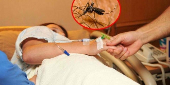Od groznice Zapadnog Nila u Srbiji oboljelo 126 ljudi, umrlo 11