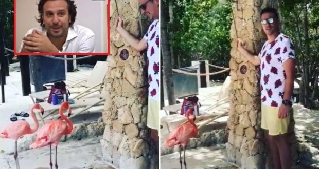 Preko 120 hiljada pregleda: Andrija Milošević objavio snimak sa flamingosima, prisjetio se Marinka Madžgalja