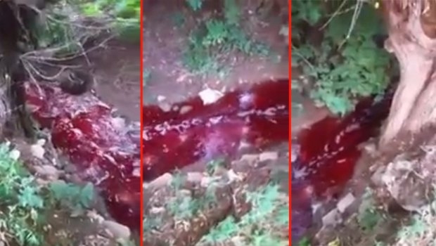 VIDEO – Krvavo crkveni potok teče Prištinom: O čemu se radi?