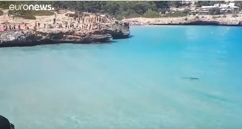VIDEO – Ajkula se pojavila u PLIĆAKU poznate plaže, a onda…