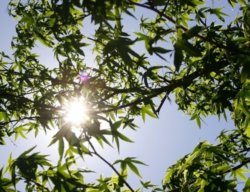 Danas sunčano i toplo, do 34 stepena