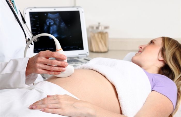 Godišnje 500 postupaka vantjelesne oplodnje u Crnoj Gori