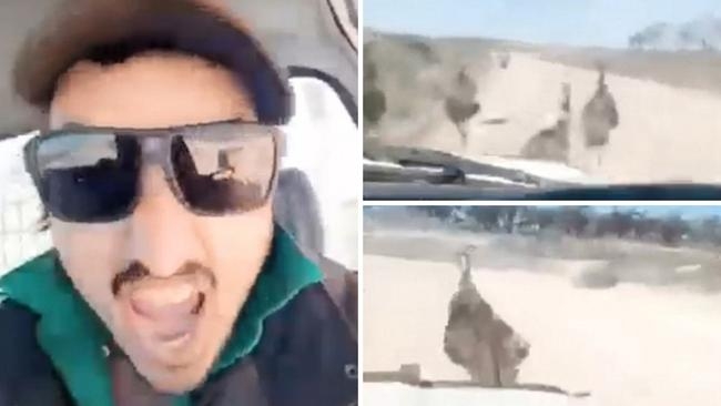Snimak koji je šokirao sve: Manijak autom jurio ptice, brojao koliko ih je zgazio i hvalio se time