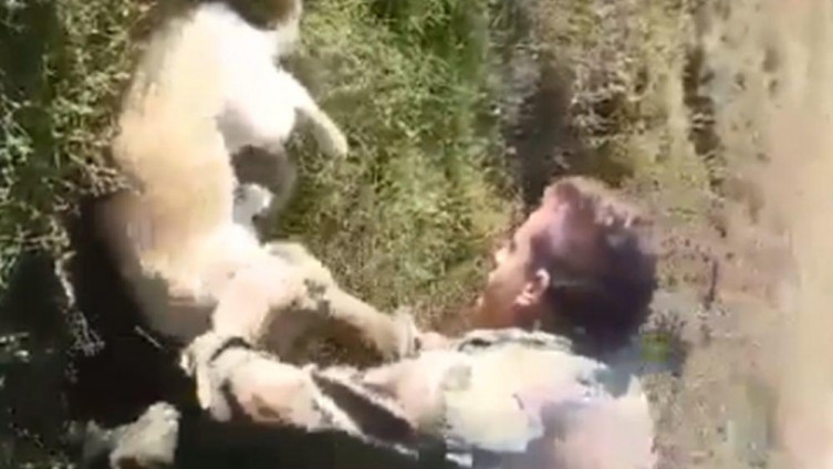 Uznemirujući video: Mladić iz Srbije uzima psa u ruke, a zatim mu strahovitim udarcem lomi vrat