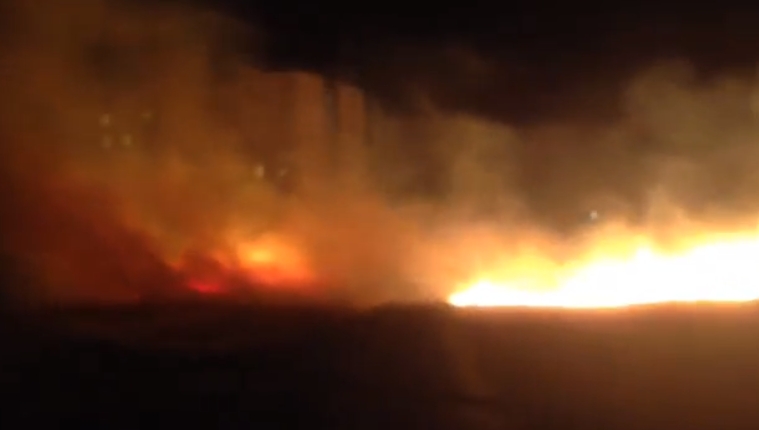 VIDEO – Veliki požar kod Tehničkih fakulteta: Vatrogasne ekipe na terenu