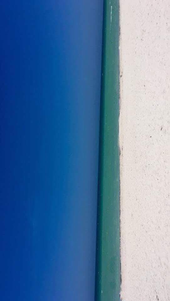 Nova optička varka: Šta se nalazi na ovoj fotografiji?