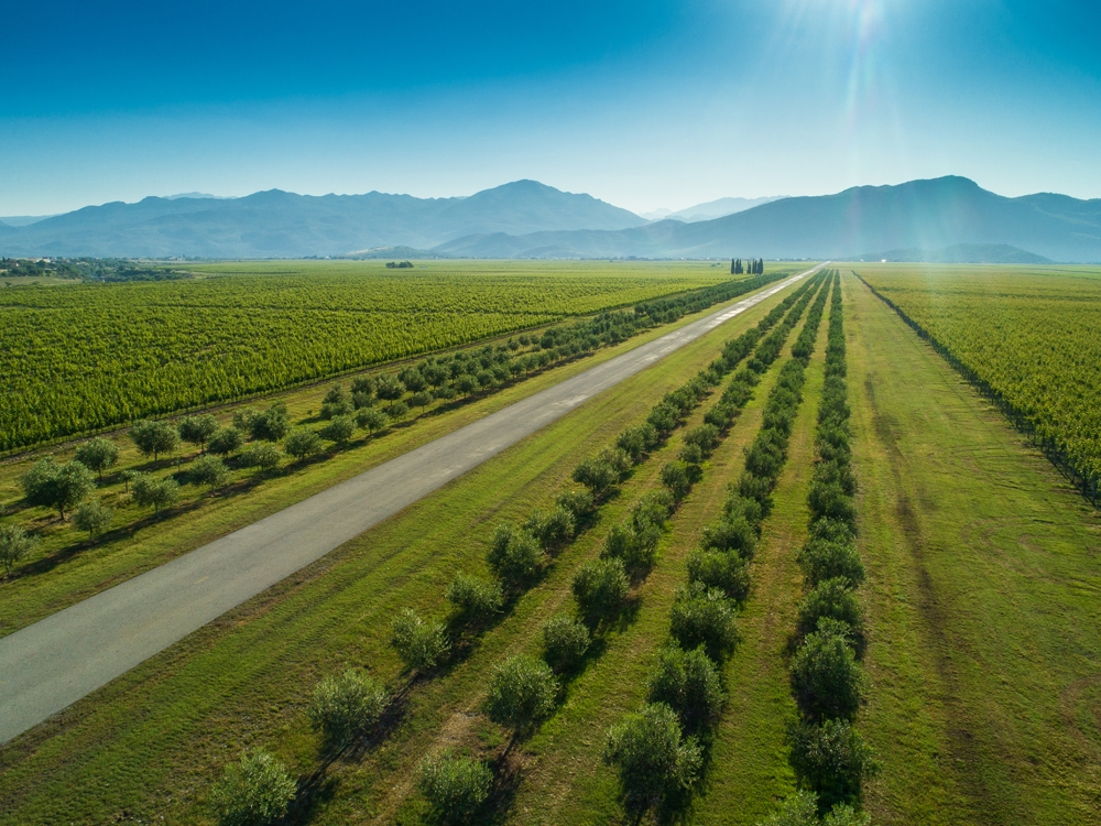 Plantaže prodaju još jedan plac u Podgorici: Za skoro 10.000 kvadrata zemljišta traže 23.800 eura