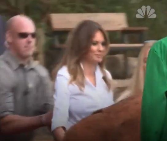 VIDEO – Slon se zaletio i odgurnuo Melaniju Tramp