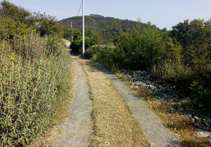 Opet odložena izrada glavnog projekta za 6 km dug put na Luštici